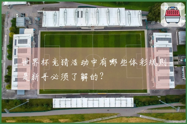 世界杯竞猜活动中有哪些体彩规则是新手必须了解的？