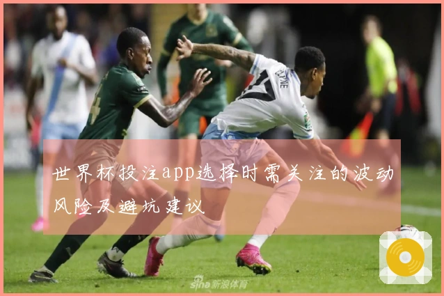 世界杯投注app选择时需关注的波动风险及避坑建议