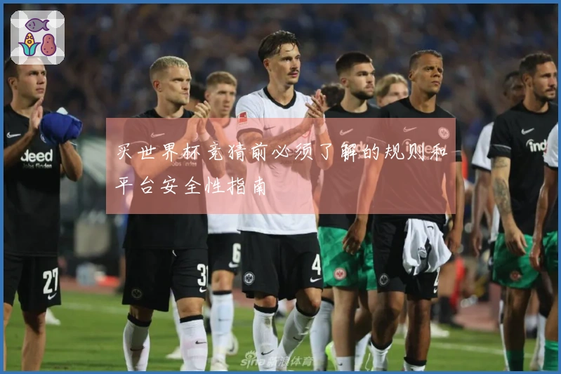 买世界杯竞猜前必须了解的规则和平台安全性指南